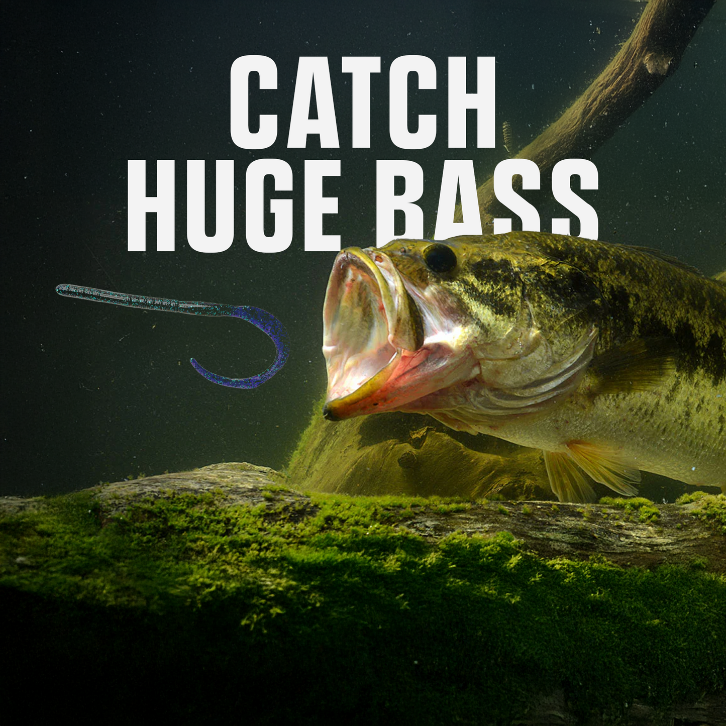 Ribbon Tail Worm - Bass Bait