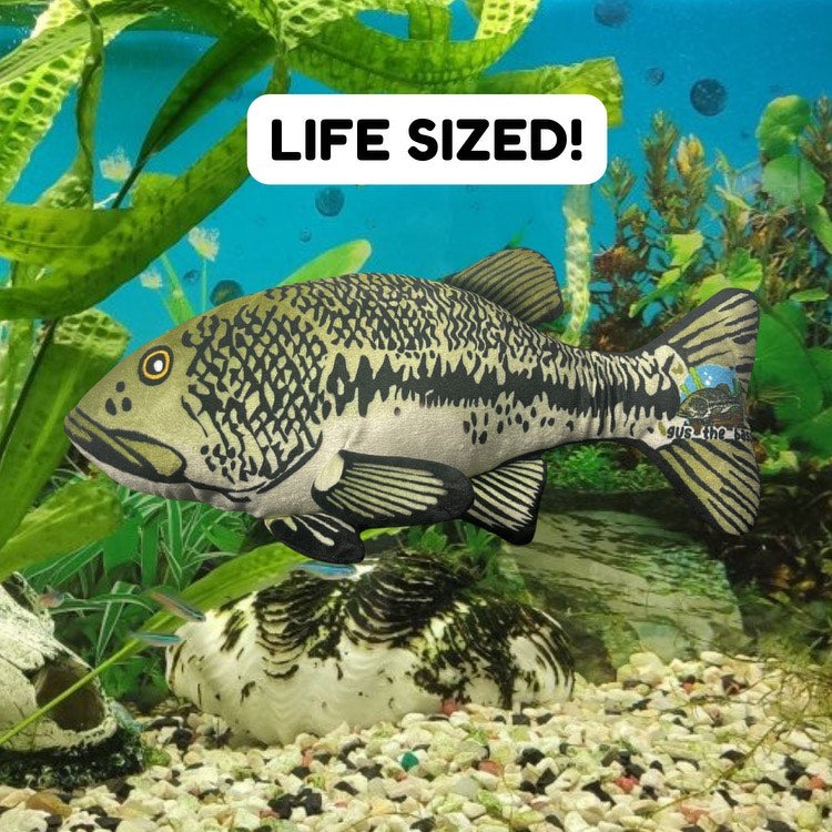 Gus the Bass Plushie