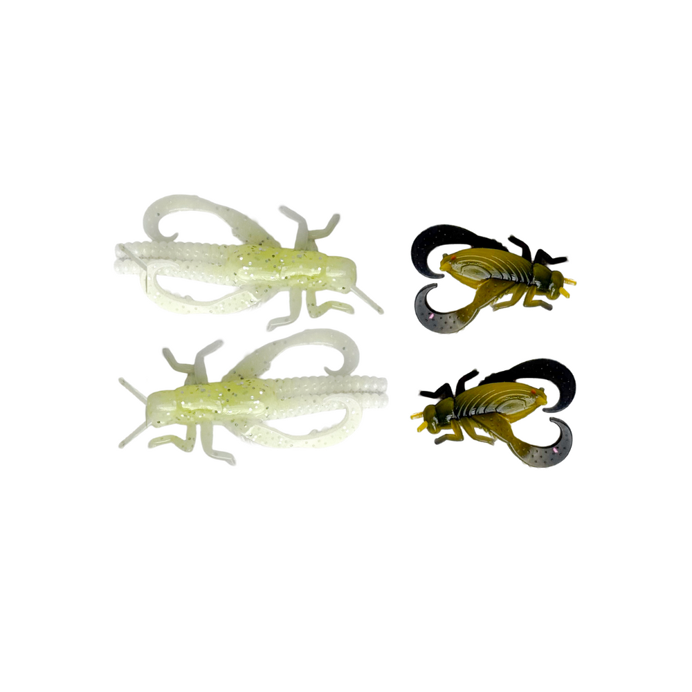 Creek Critters