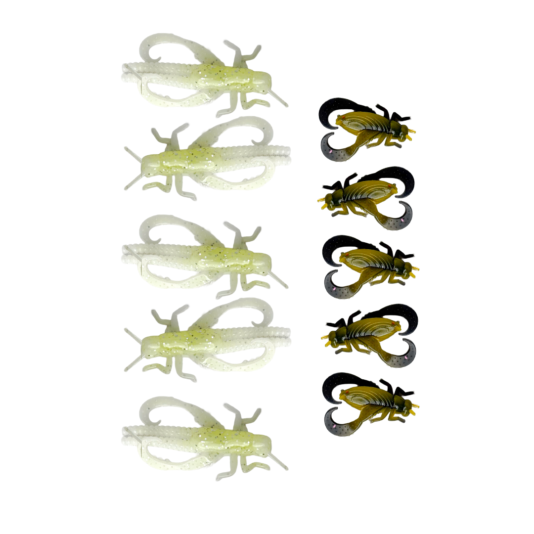 Creek Critters