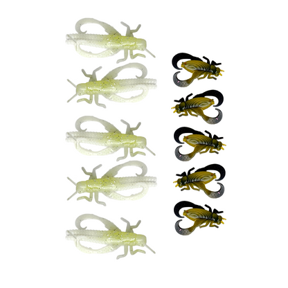 Creek Critters